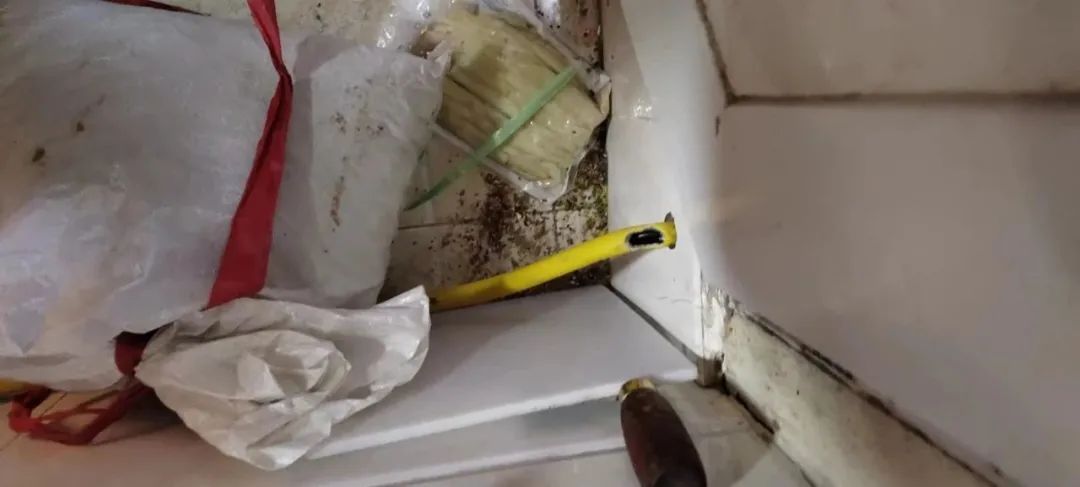 燃氣軟管(guǎn)被老鼠咬了(le)個大窟窿，竟(jing)然……