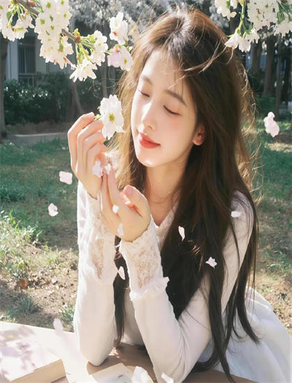 专业西部片评论：《无可奈何花落去》的技术创新与艺术成就 ——深入探索西部片的艺术世界